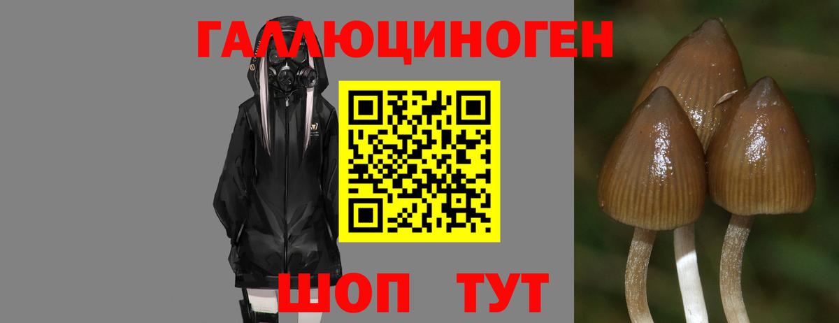 Азов  Галлюциногенные грибы Magic Shrooms  Вход с VPN  Галлюциногенные грибы мицелий 